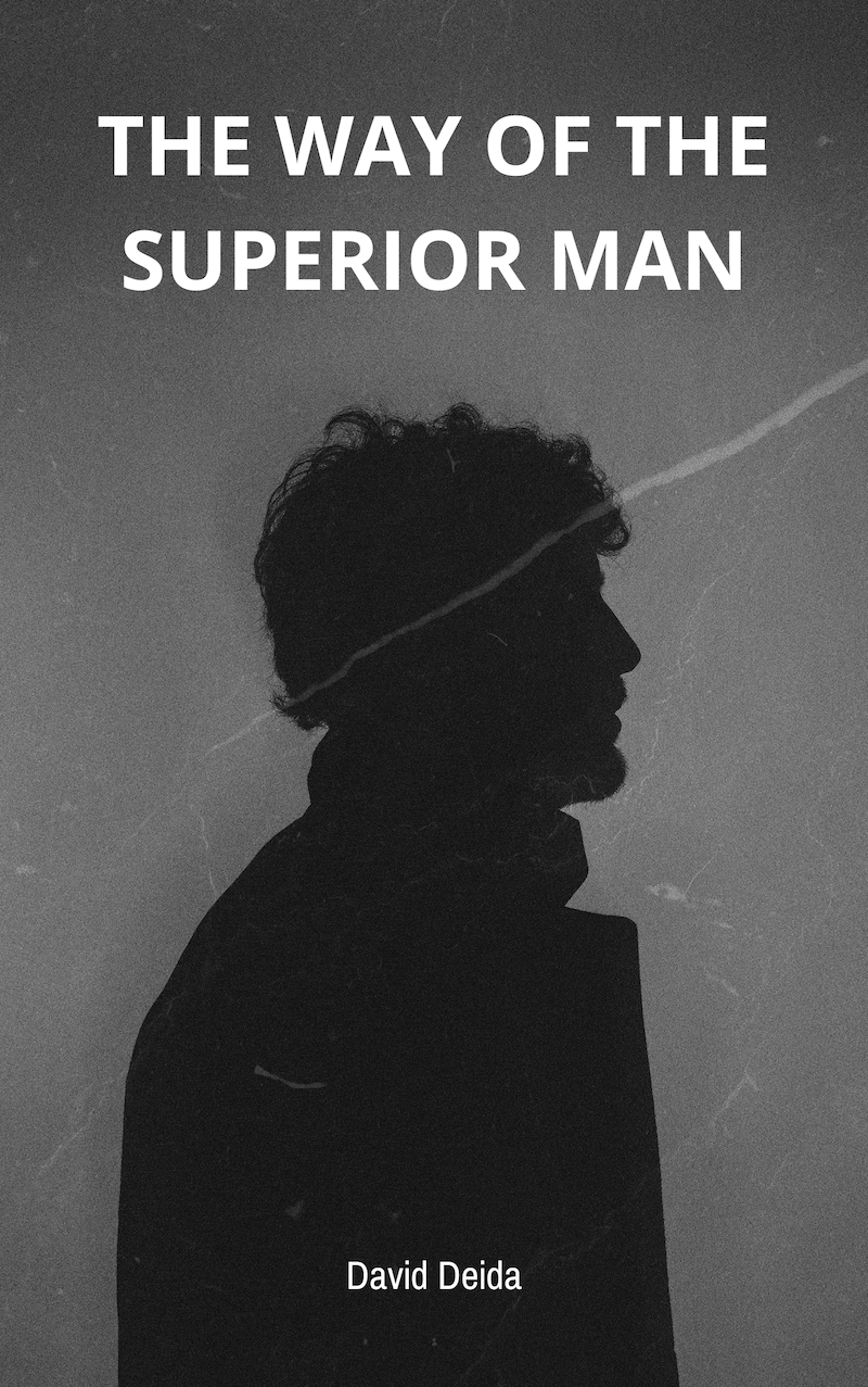 The Way of the Superior Man book summary