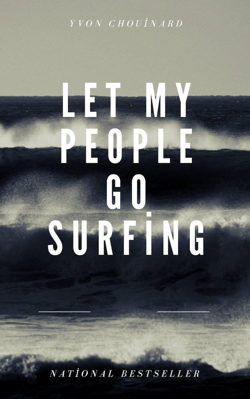 Let My People Go Surfing book summary